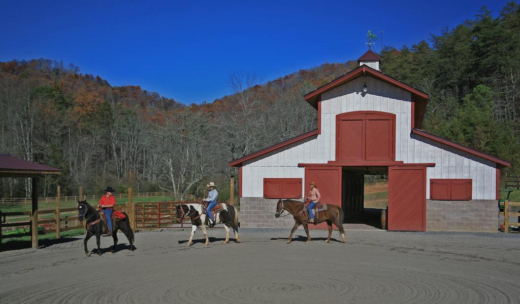 Brasstown Valley Resort & Spa Young Harris Exterior foto